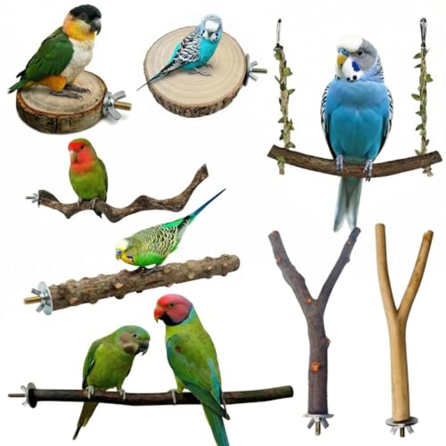 Health & Wellness Utsg - 8PCS tempat bertengger burung dari kayu