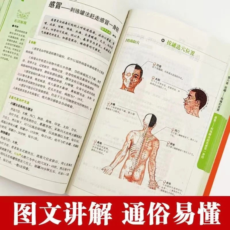 Seri Kesehatan & Kesejahteraan - Therapy Health And Wellness ulasan dan harga